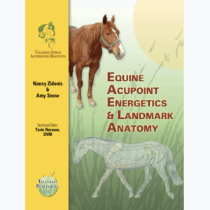 Equine acupoint energetics book | Manual | Landmark anatomy book